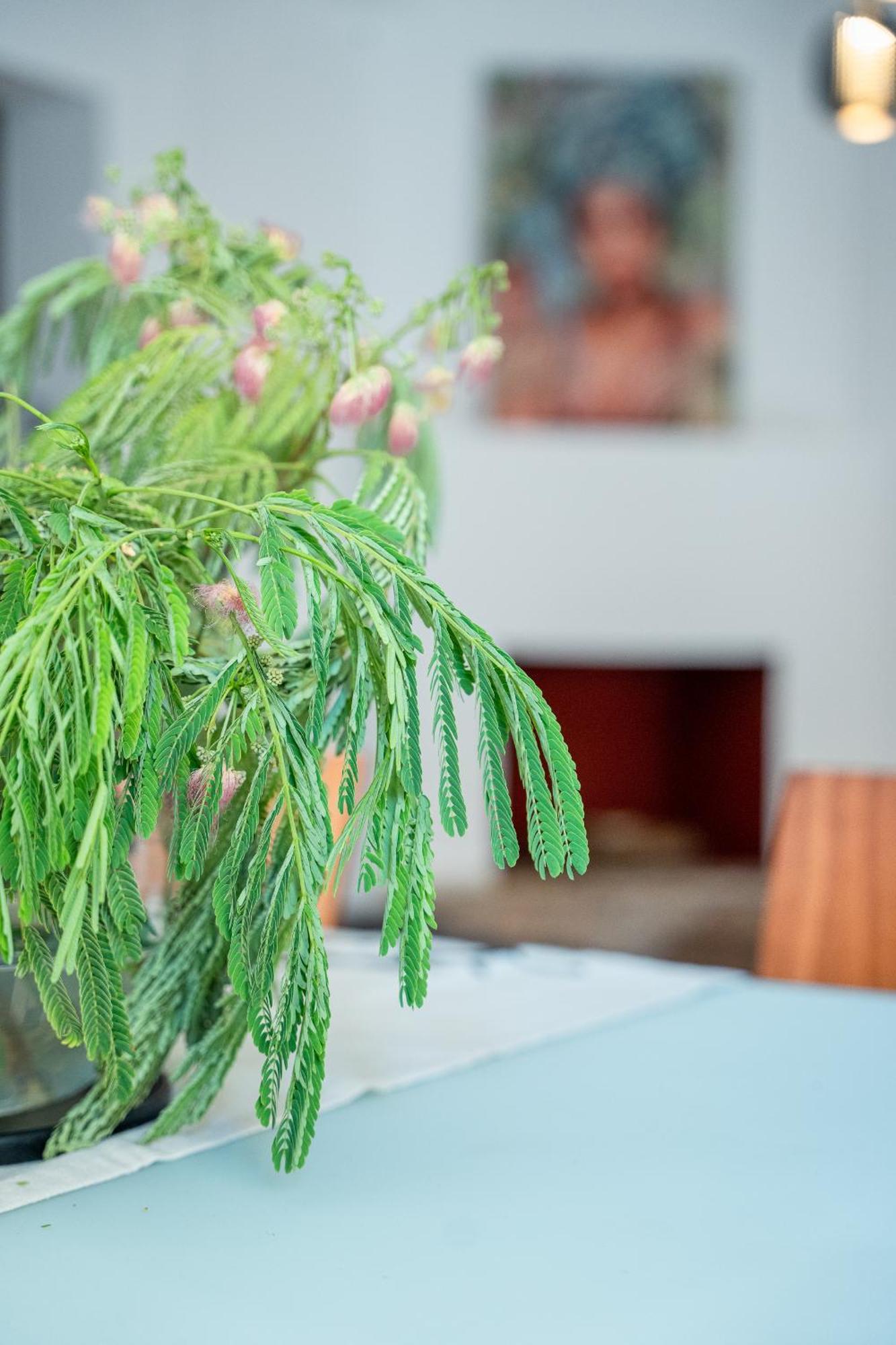 Otium Living *